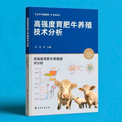 014高强度育肥牛养殖技术分析  
