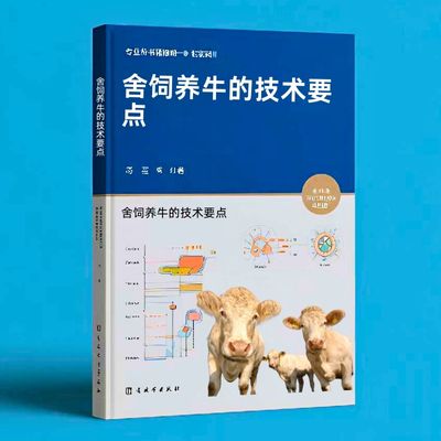 174舍饲养牛的技术要点  